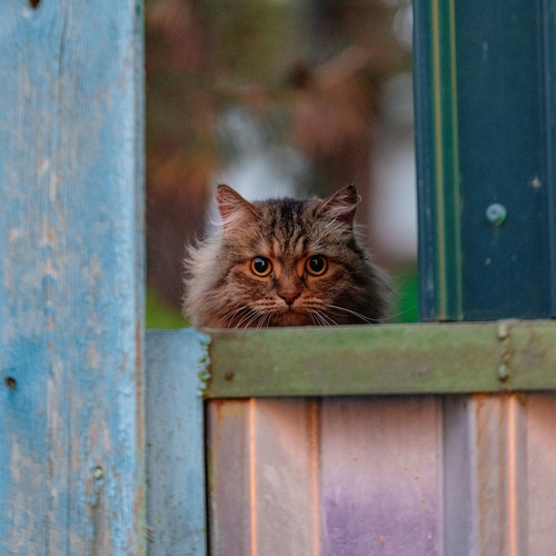 Photo #14051674
