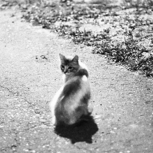 Фотография #14051713