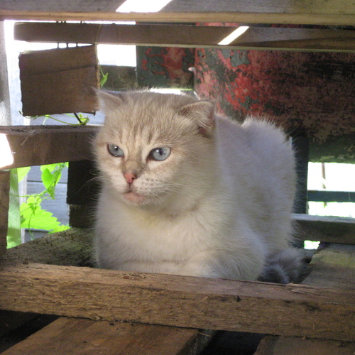 Photo #14051810