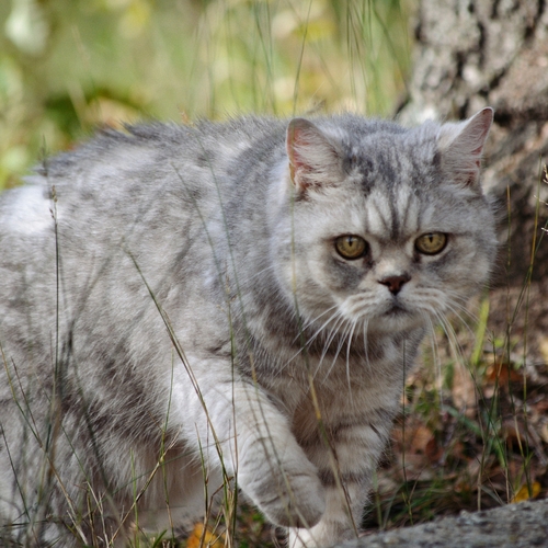 Photo #14051825