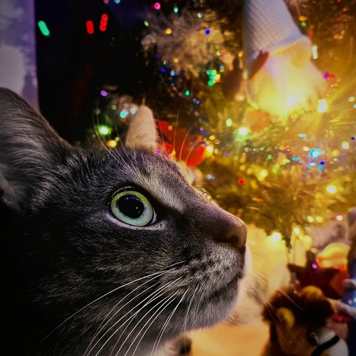 Photo #14051828