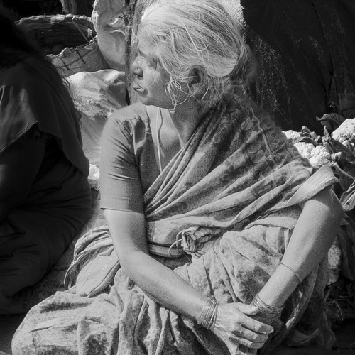 Bengaluru cucumber\\\'s Lady