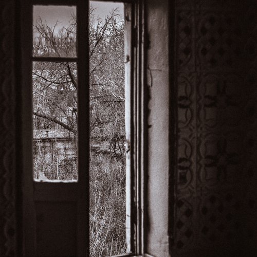Photo #14051887