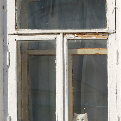 Photo #14051977