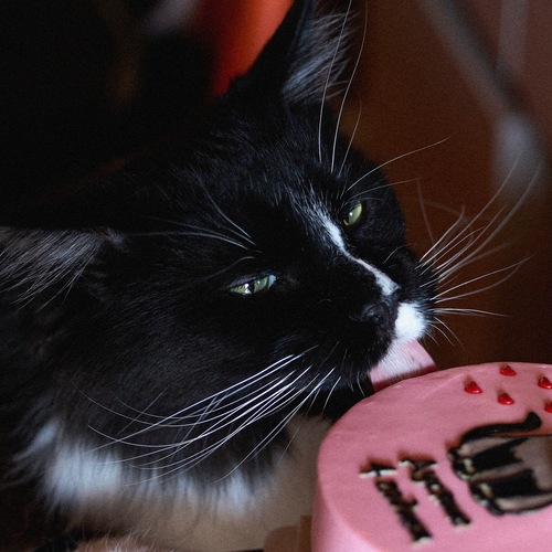 Photo #14052021
