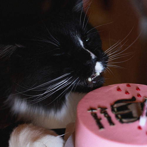 Photo #14052022