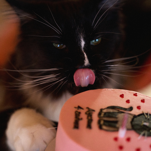 Photo #14052023