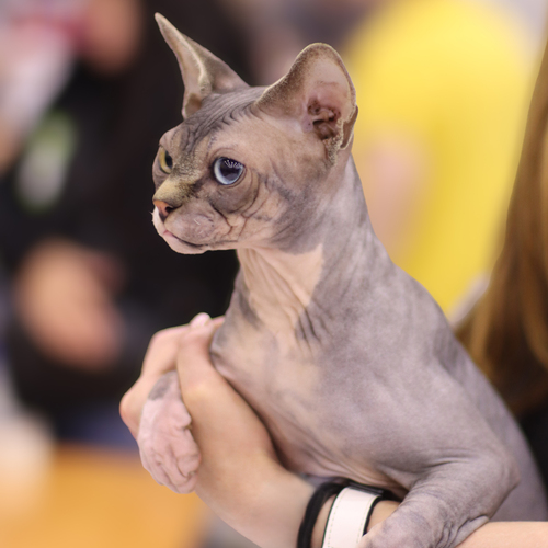 Photo #14052108