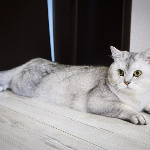 Photo #14052118