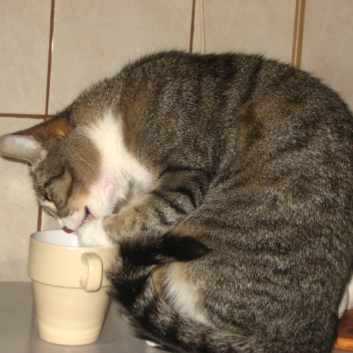 Photo #14052123