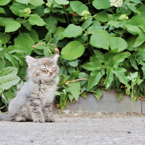 Photo #14052127