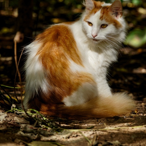 Photo #14052128