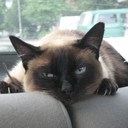 Photo #14052129