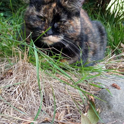 Photo #14052168