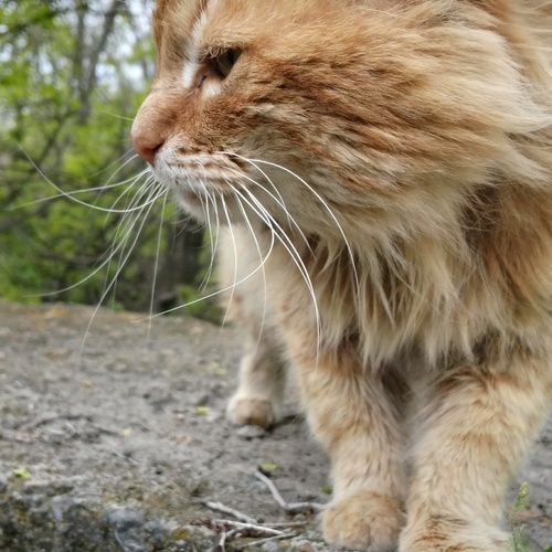 Photo #14052182