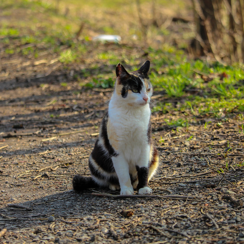 Photo #14052264