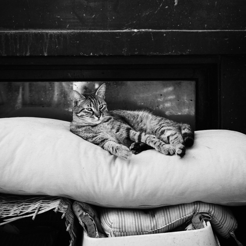 Photo #14052388