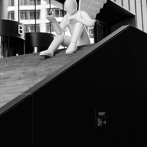 Photo #14052401