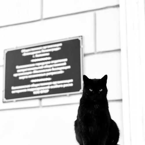 Photo #14052427