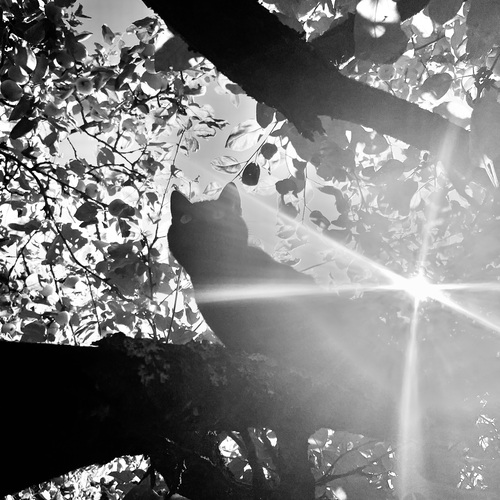 Photo #14052437