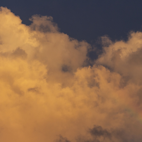 Photo #14052535
