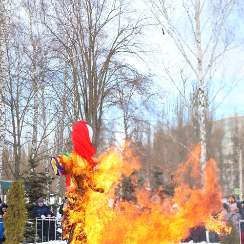 Photo #14052550
