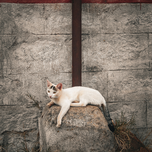 Photo #14052617