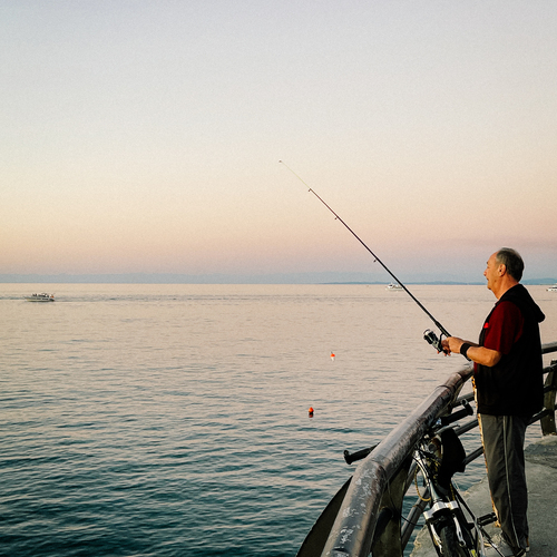 Photo #14052758