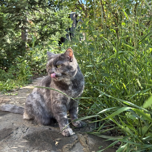 Photo #14052789