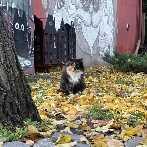 Photo #14052790