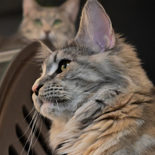Photo #14052803