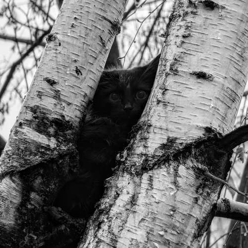 Photo #14052834