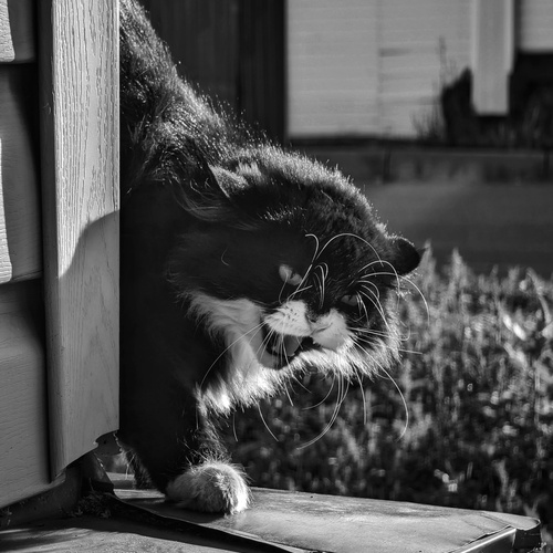 Photo #14052835