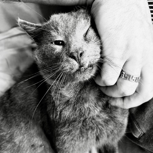 Photo #14052886