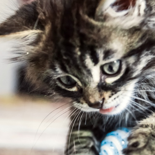 Photo #14052921