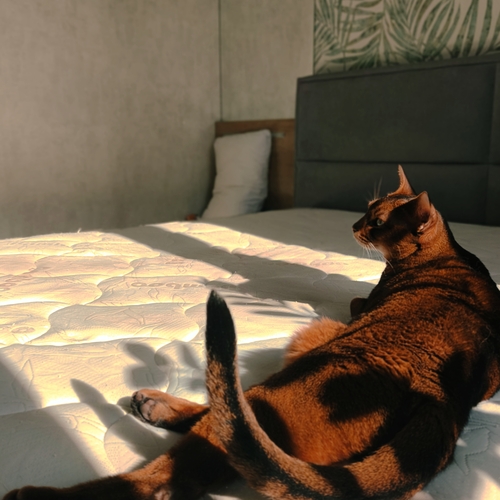 Photo #14052943