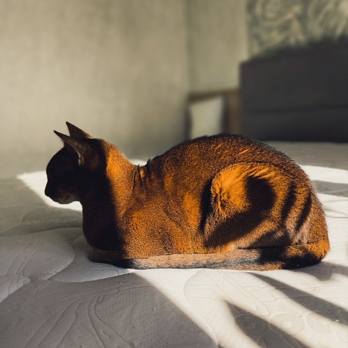 Photo #14052947