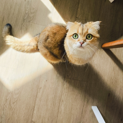 Photo #14052948