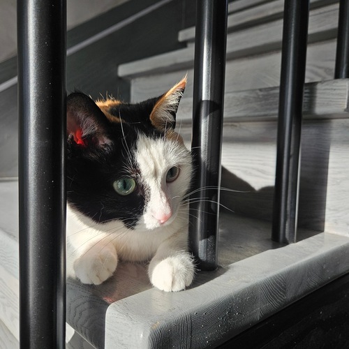 Photo #14052957