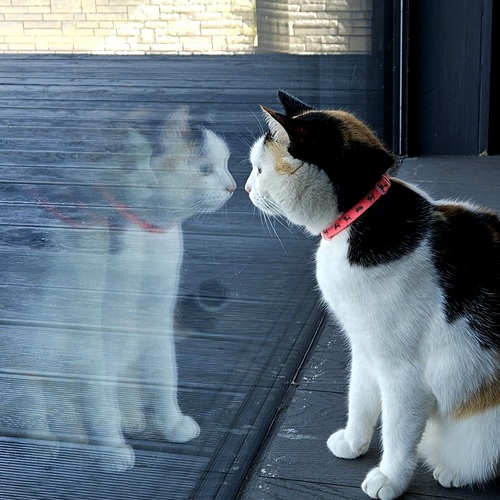 Photo #14052959