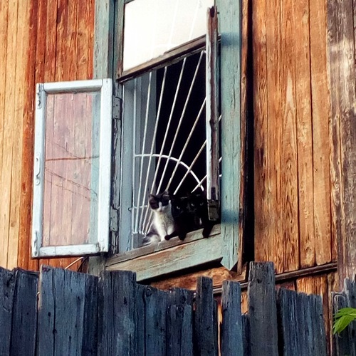 Photo #14052960