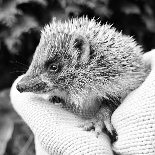 Photo #14052975
