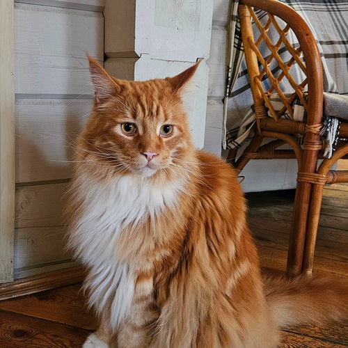 Photo #14052984
