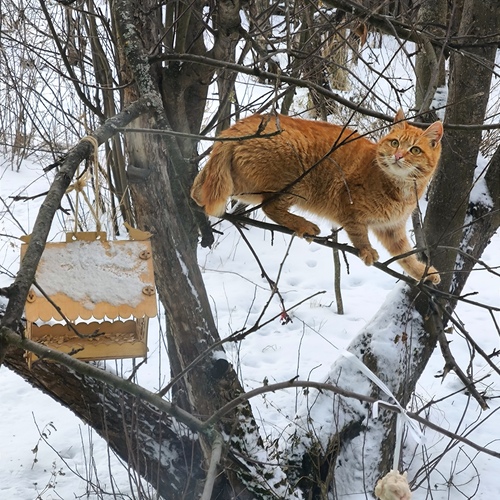 Photo #14053179