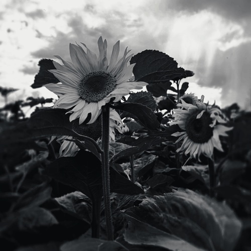 Photo #14053189