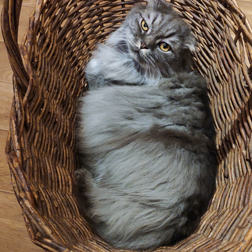 Photo #14053239