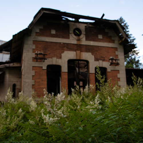 Photo #14053271
