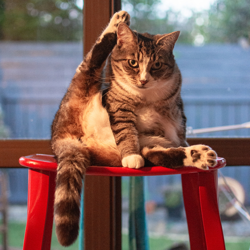 Photo #14053279