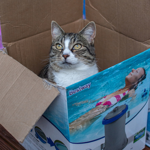 Photo #14053310