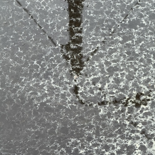 Photo #14053327